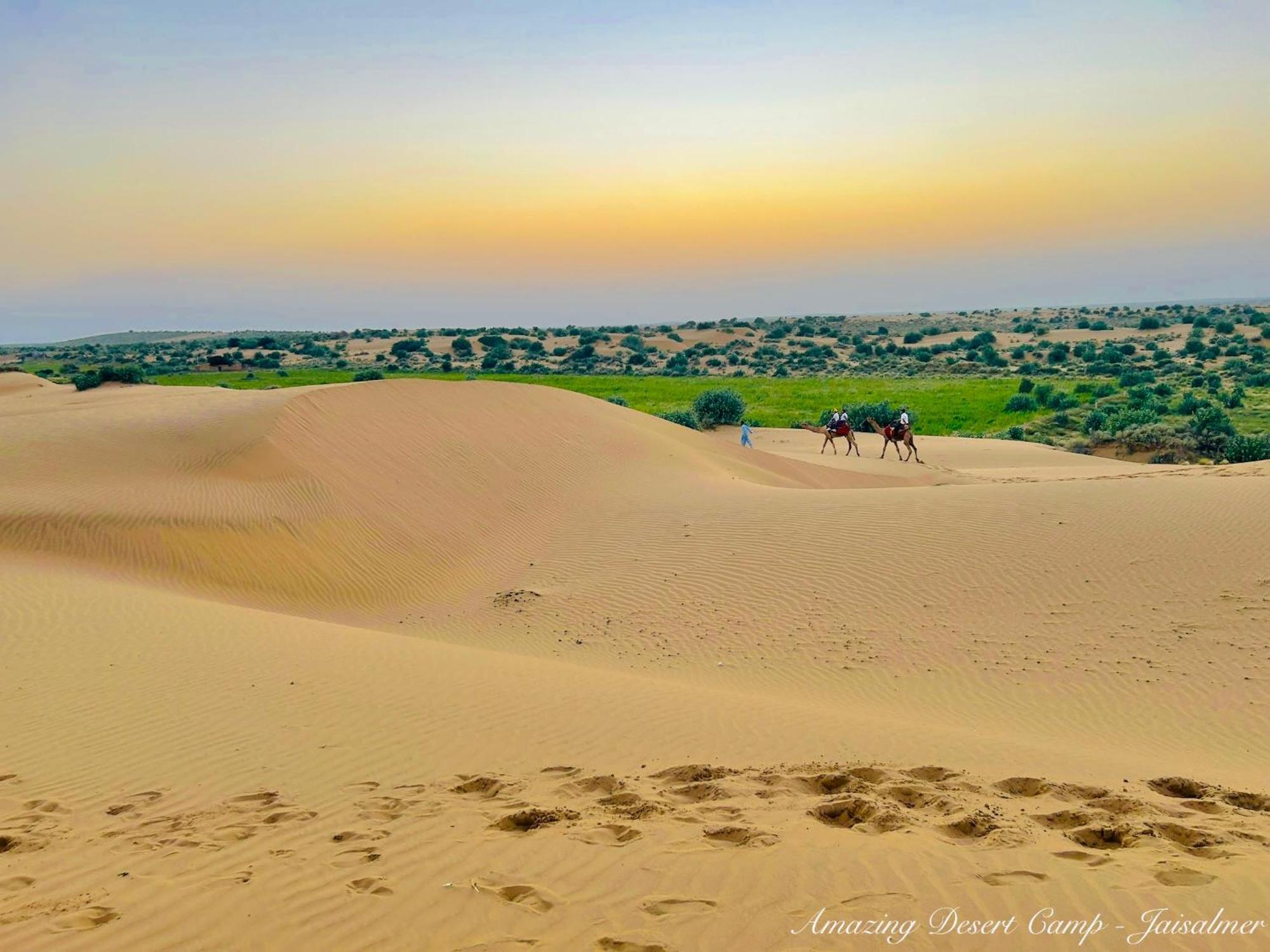 Amazing Desert Camp Hotel ไจซัลเมอร์ ภายนอก รูปภาพ