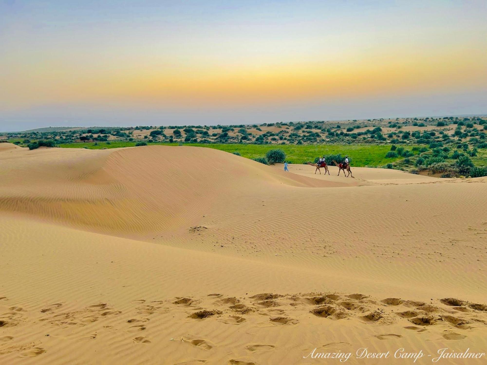 Amazing Desert Camp ไจซัลเมอร์ ภายนอก รูปภาพ